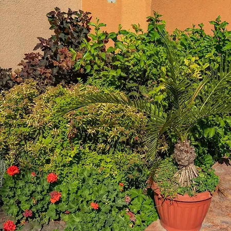 Apartmanhotel Efir 2 - Menada