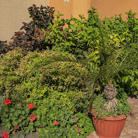 Ξενοδοχείο με διαμερίσματα Efir 2 - Menada 3*