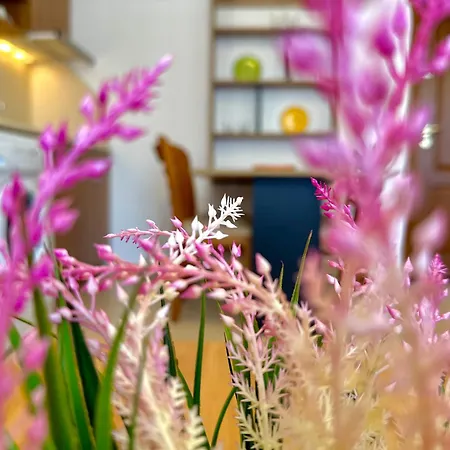 Efir 2 - Menada Apart-hotel